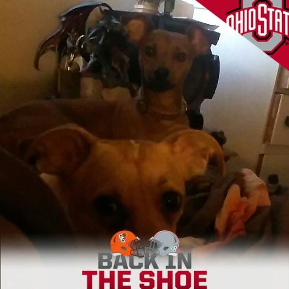 Meet your Posher, Danny - Picture 1 of 1